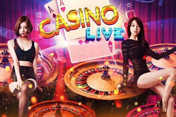 DomGame Casino Live Casino