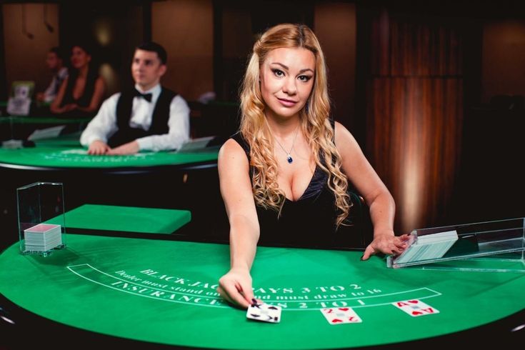 DomGame Casino Live Casino